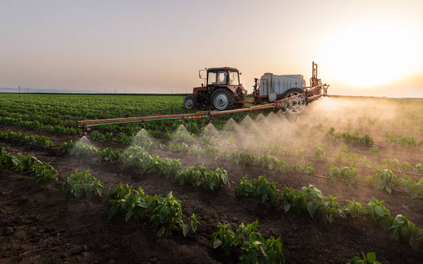 Best Mosquito Control Services  in Blplay, AL